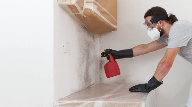 Professional Mold Testing technician working in Glen Cove, NY